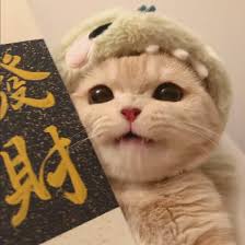 Support Avatar